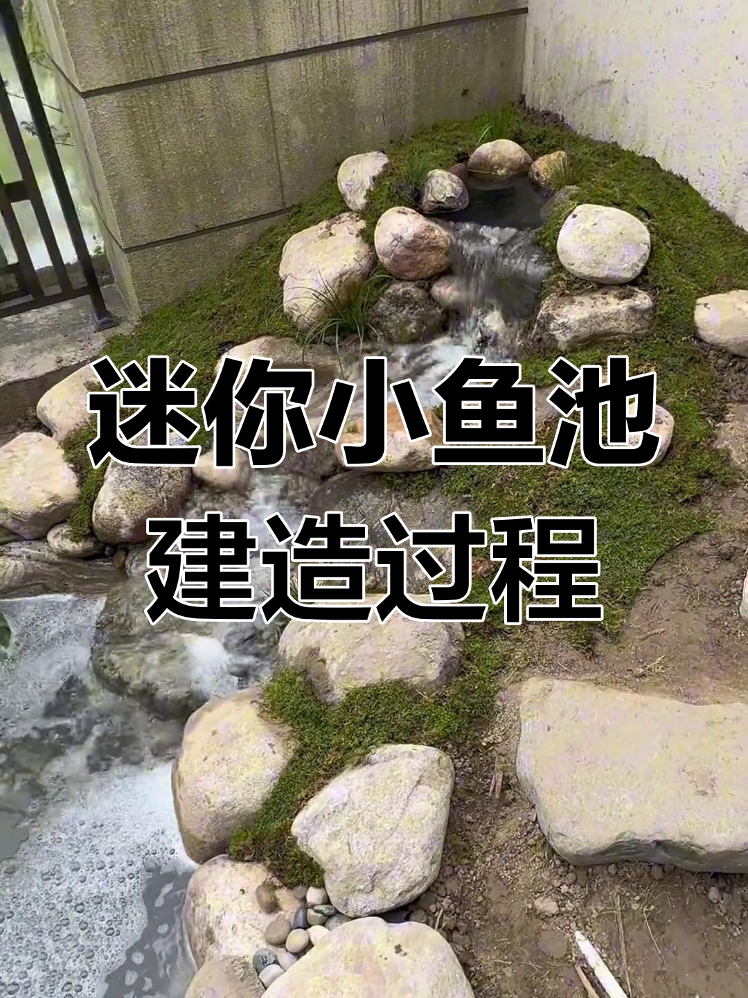 小型生态鱼池设计与过滤系统揭秘,打造自然水景