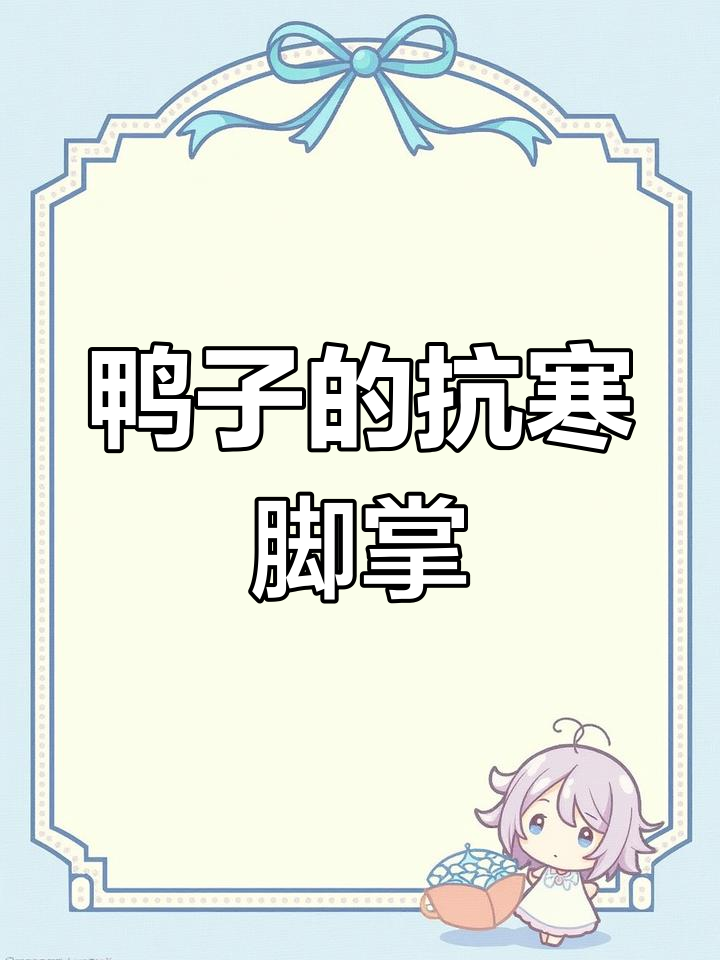 鸭子脚掌如何在冰面行走不冻伤?揭秘特殊生理结构
