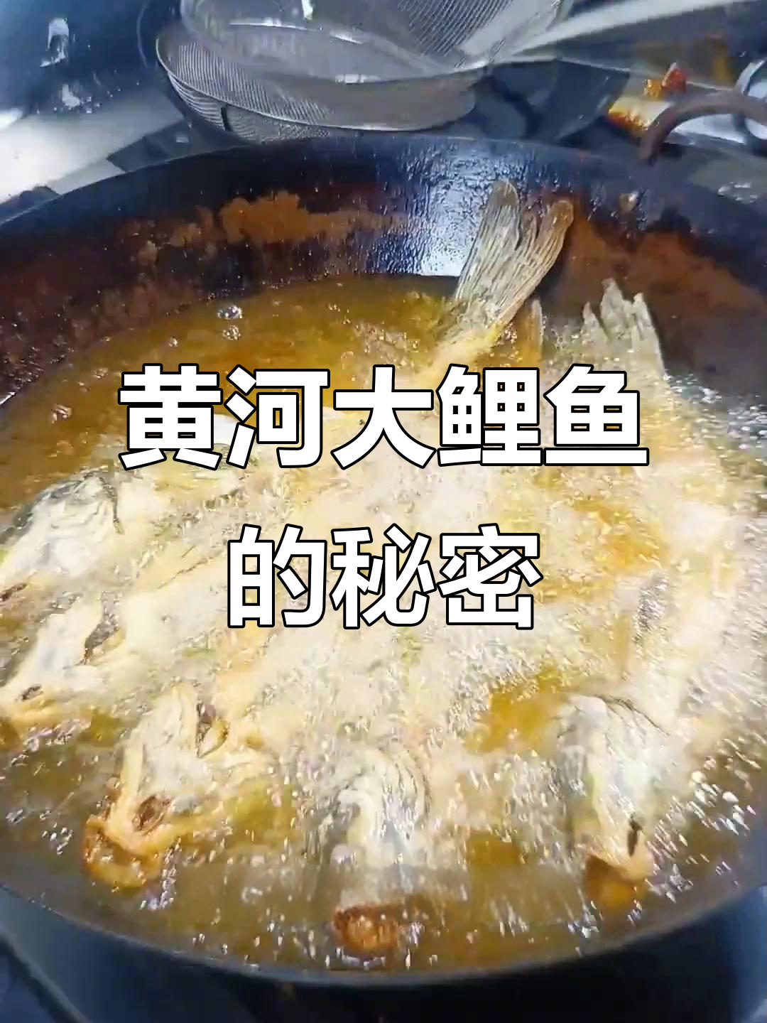 黄河大鲤鱼真相揭秘:它并非神话,只是地摊生意