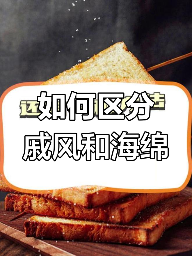 戚风蛋糕与海绵蛋糕的区别解析