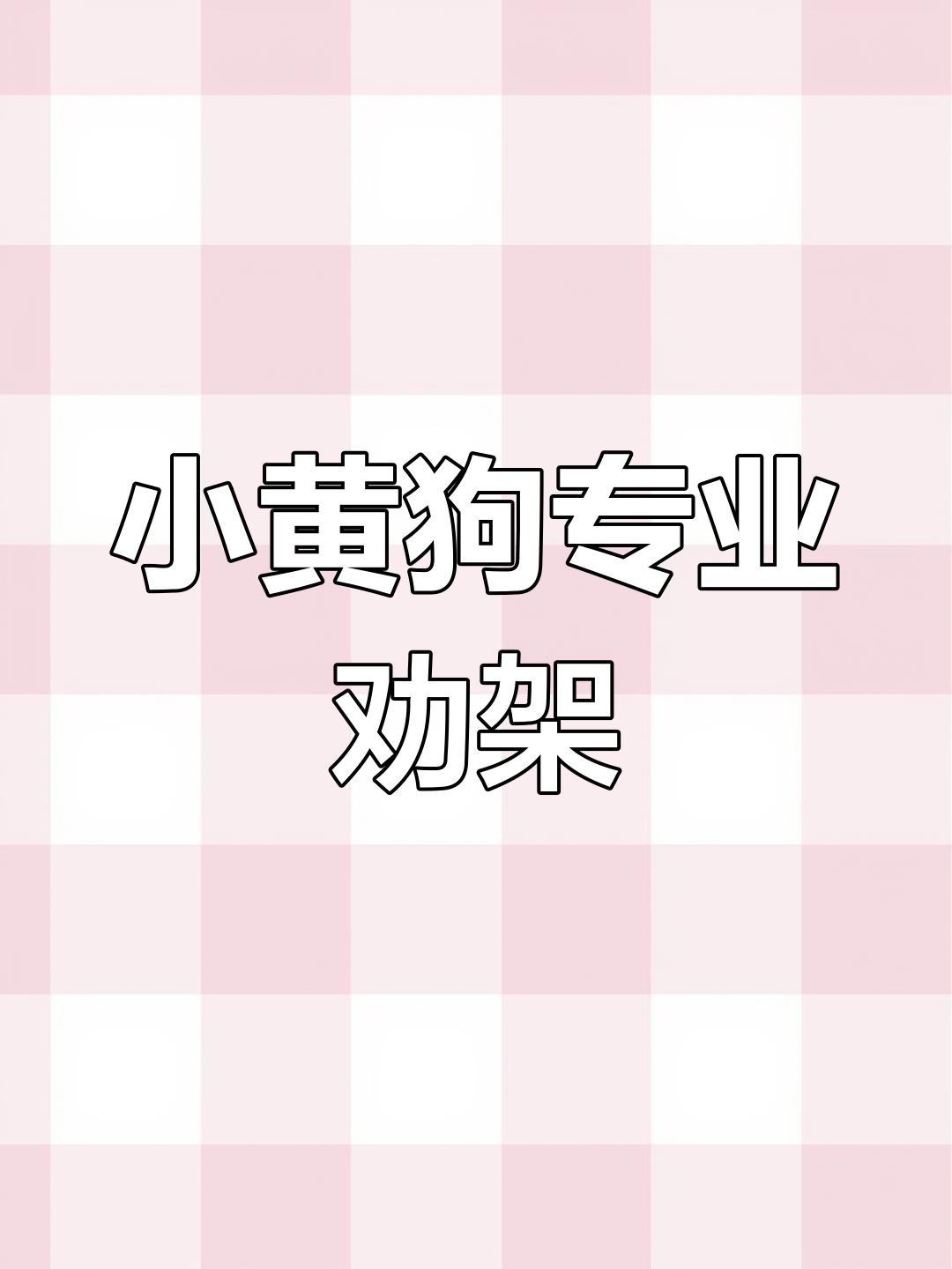 2月11日小黄狗勇斗“小黄鱼”劝架现场