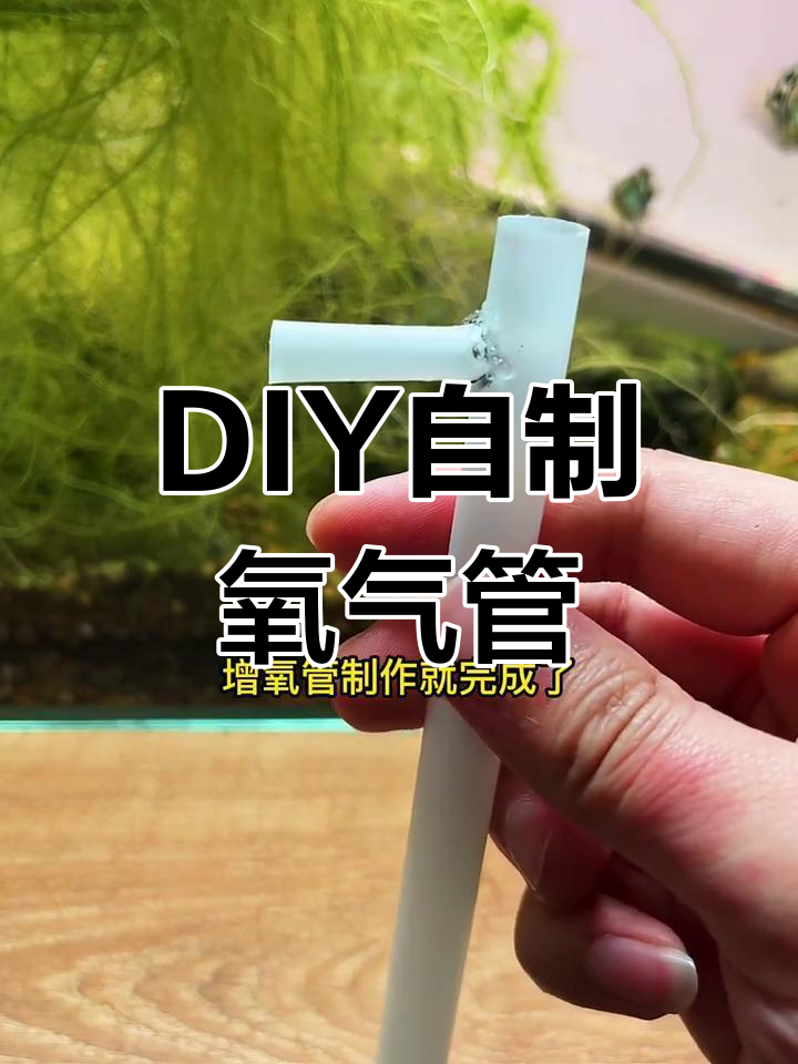 不用气泵也能给鱼缸增氧,DIY改造教程大揭秘