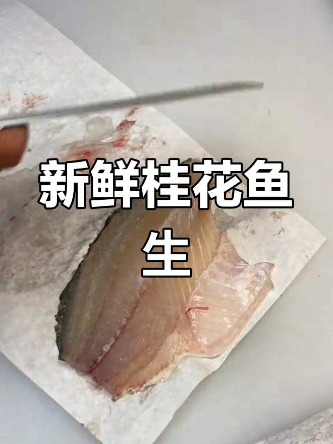 桂花鱼刺身制作技巧,刀法讲究