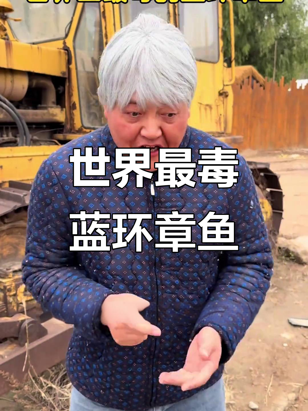 蓝环章鱼:世界上最毒的章鱼,竟然这么小!