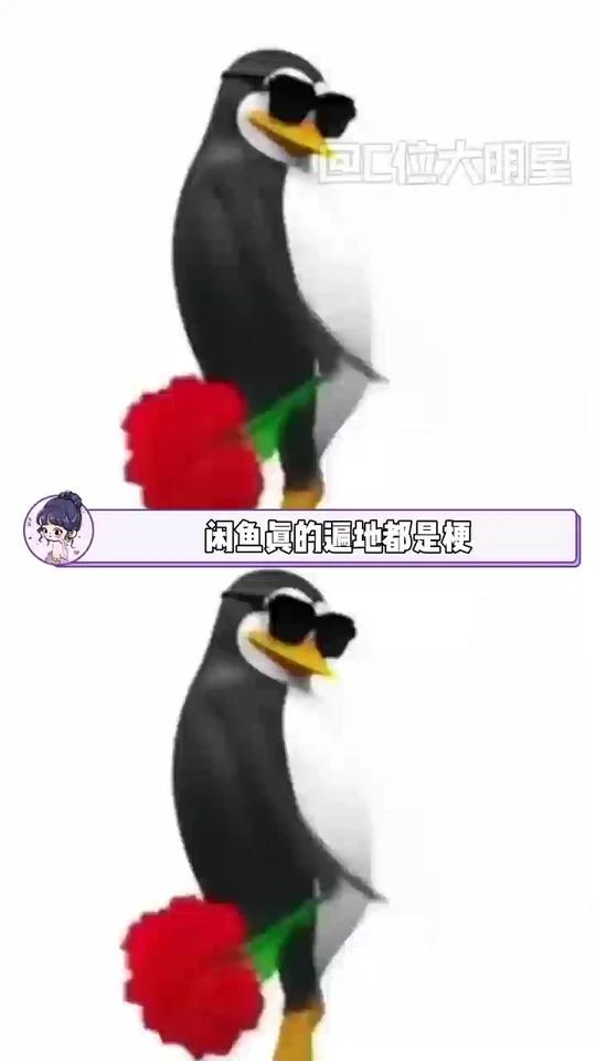 闲鱼真的遍地都是梗啊