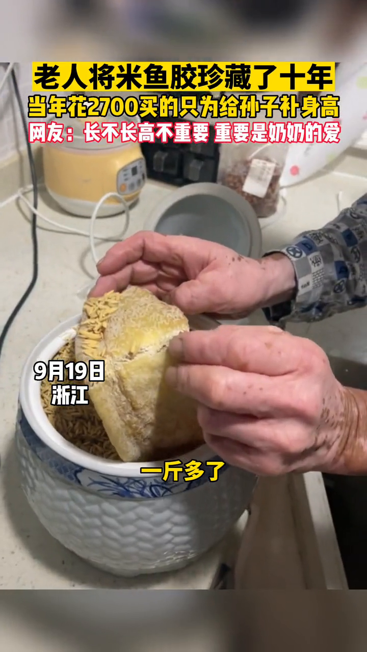 老人一条米鱼胶放了十年,就为给孙子补身高