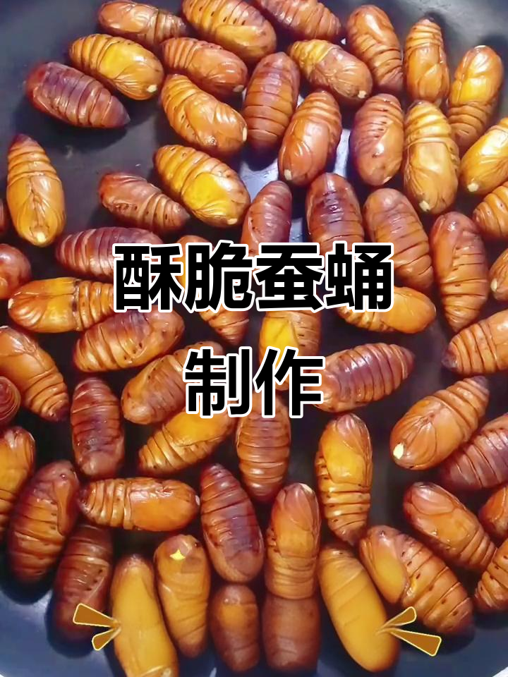 香脆蚕蛹做法,简单又美味