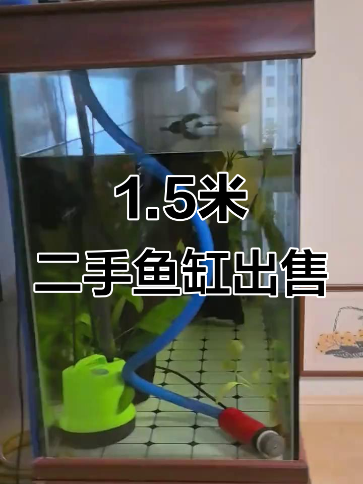 二手鱼缸转让,1.5米五零宽超值龙鱼缸等你拿走