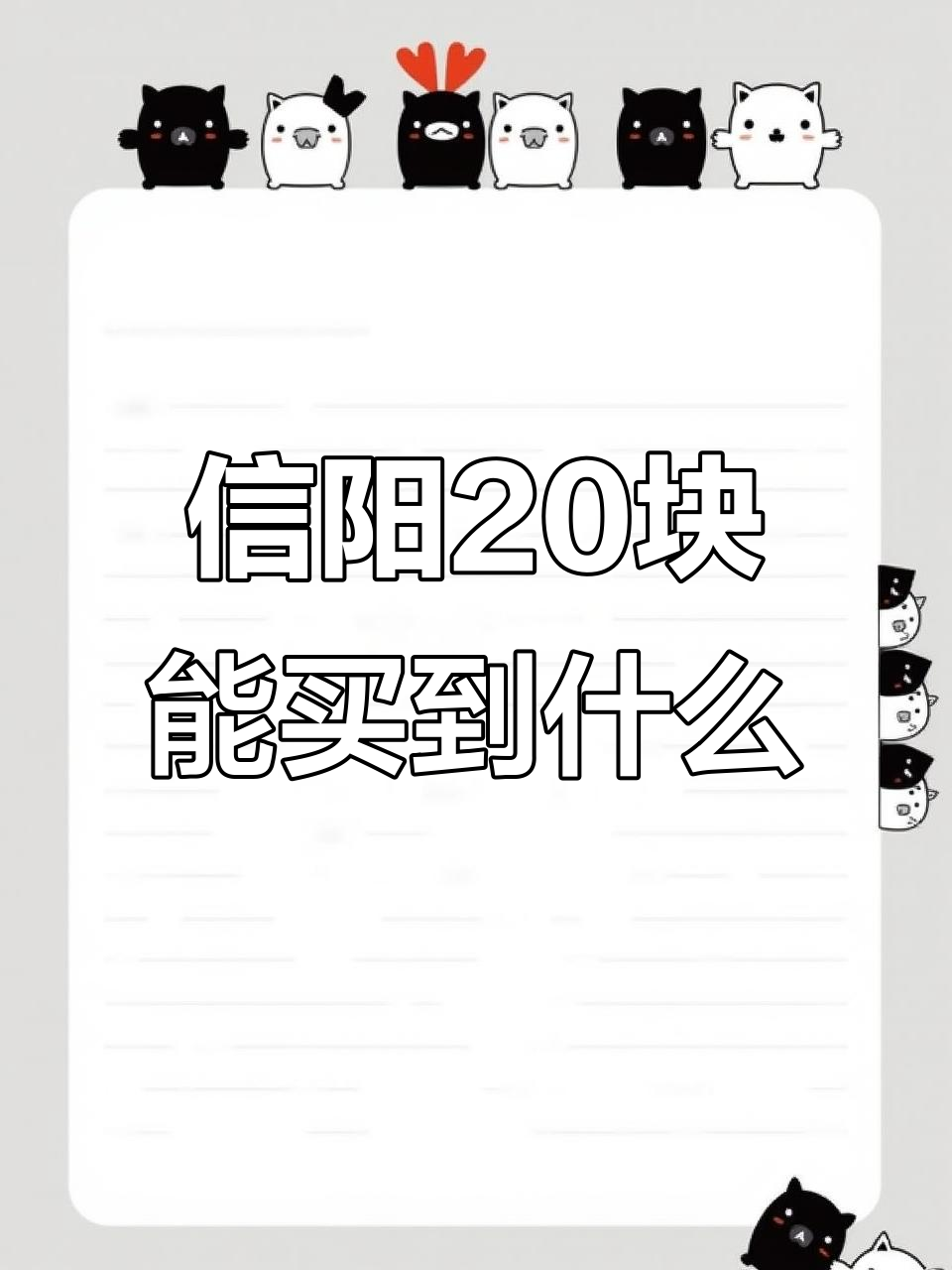 信阳20元能买啥?超值蔬菜大揭秘