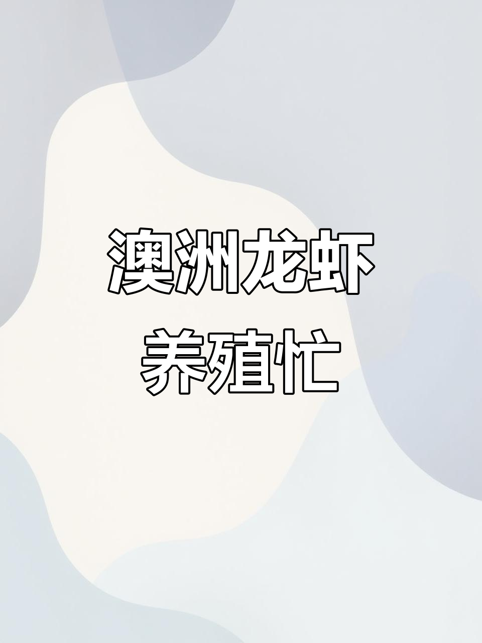 300尾澳洲淡水龙虾养殖日常,忙碌的一天终于搞定