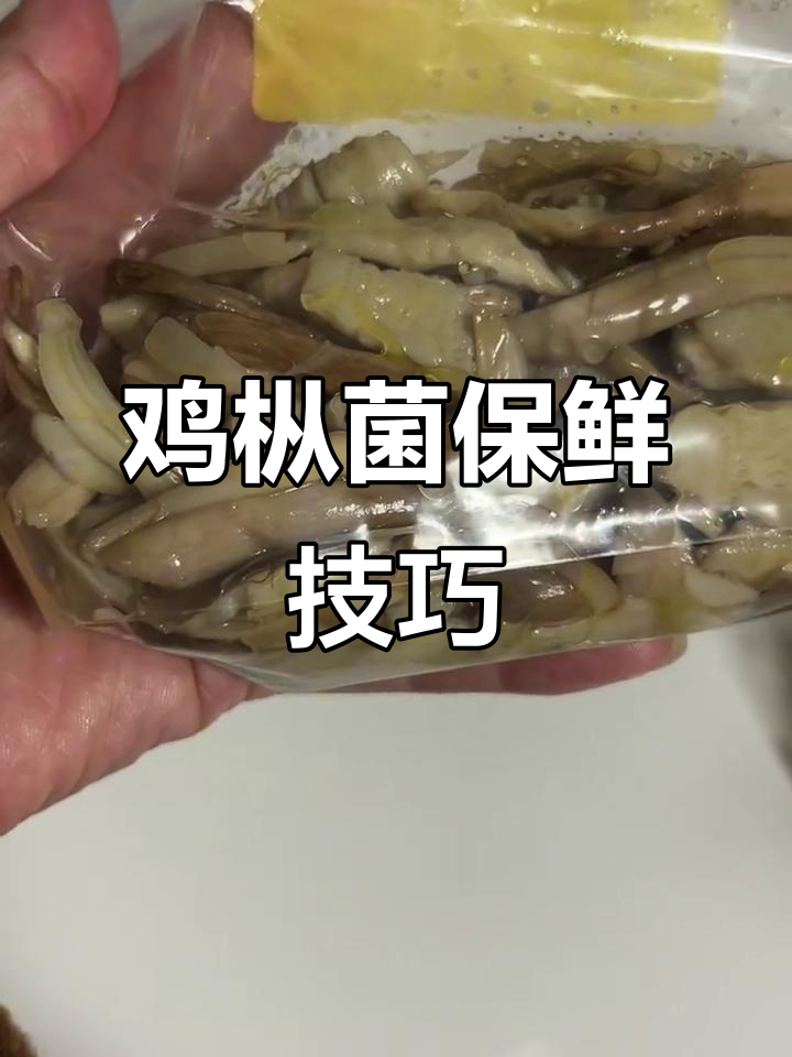 鸡枞菌这样保存,新鲜如初,做法超简单