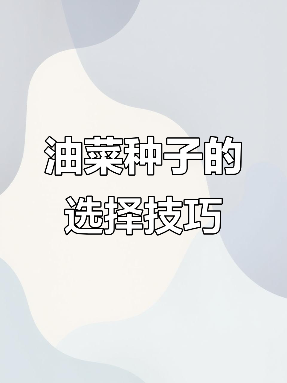选择油菜种子,关键选对品种
