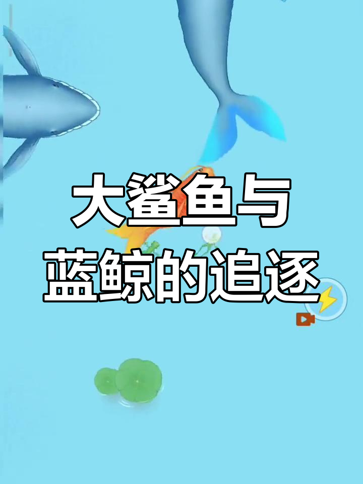 蓝鲸群来袭，大红鲤鱼成唯一伙伴！