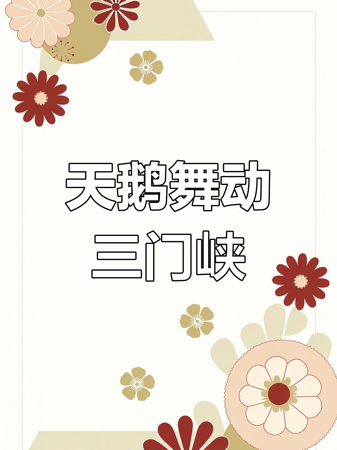 三门峡天鹅湖美景,成群结队的天鹅在仙境中畅游