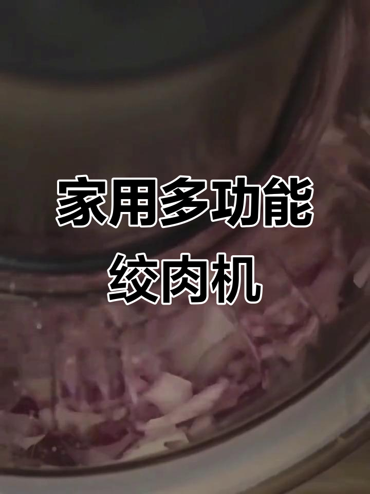 苏泊尔绞肉机,家用电动多功能料理机,不锈钢大容量设计