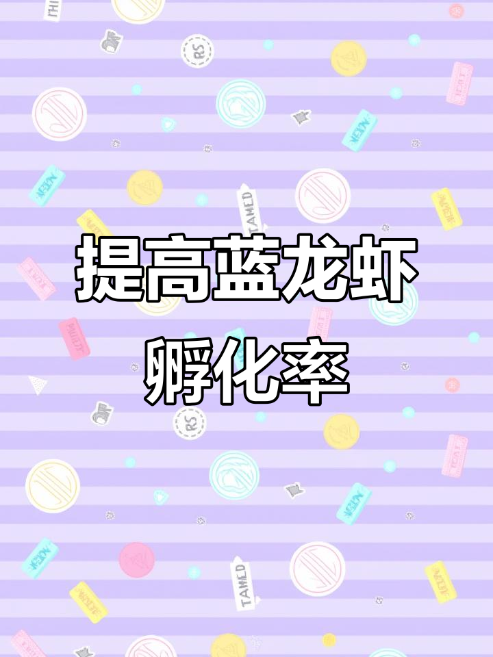 人工离体孵化技术助力蓝龙虾养殖效率提升