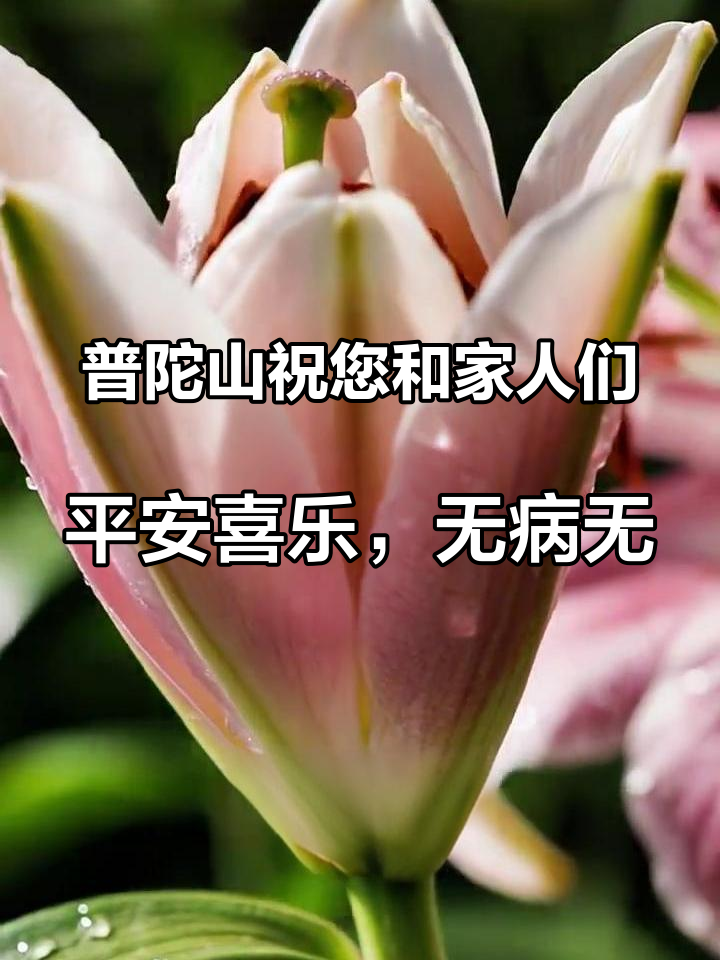 普陀山祝您和家人们:平安喜乐,无病无灾,蒸蒸日上,万事皆成。普陀山 普陀山祝福 普陀山壁纸