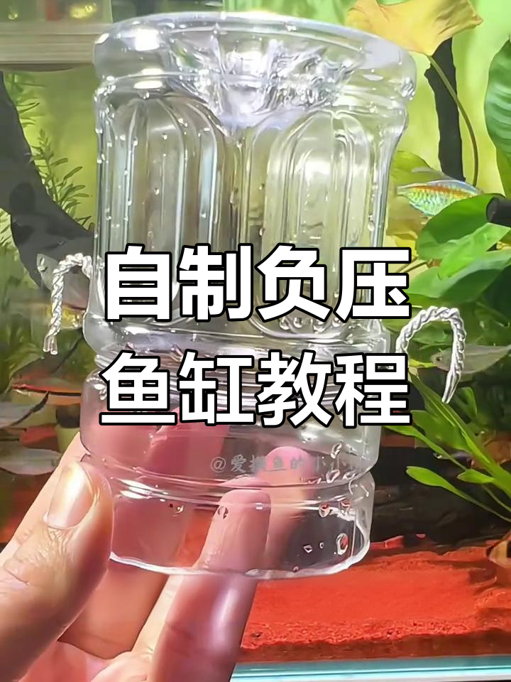 用废旧瓶子做负压鱼缸,简单又有趣!