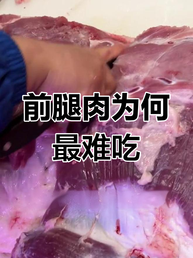猪前腿肉到底有多难吃?揭秘最受欢迎的后腿肉