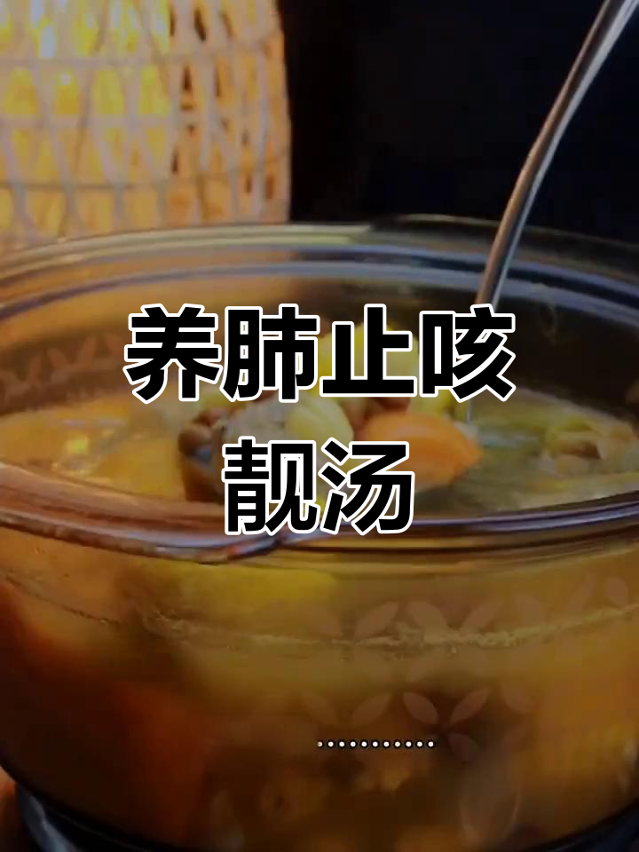 秋季润肺汤,南北杏猪骨汤