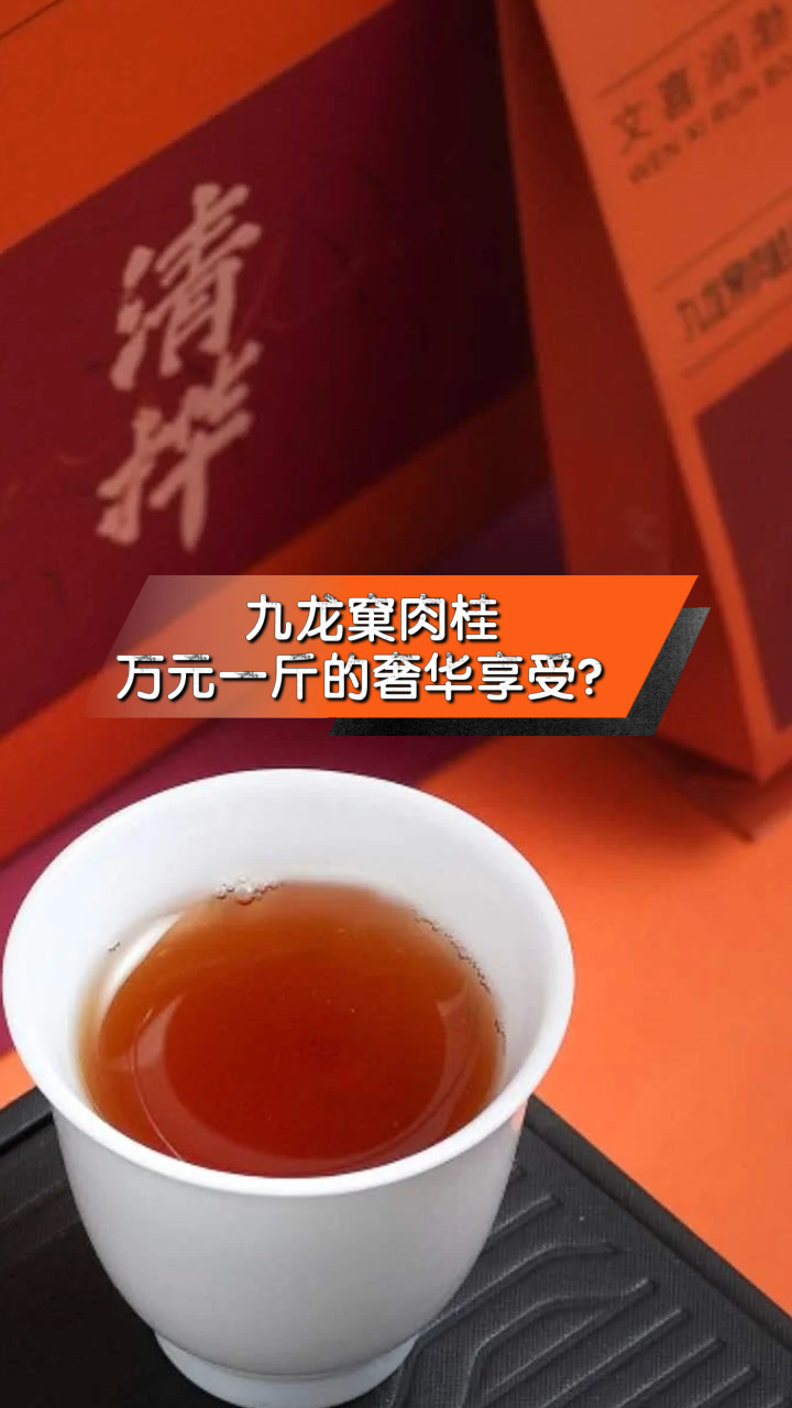 九龙窠肉桂,万元一斤的奢华享受?