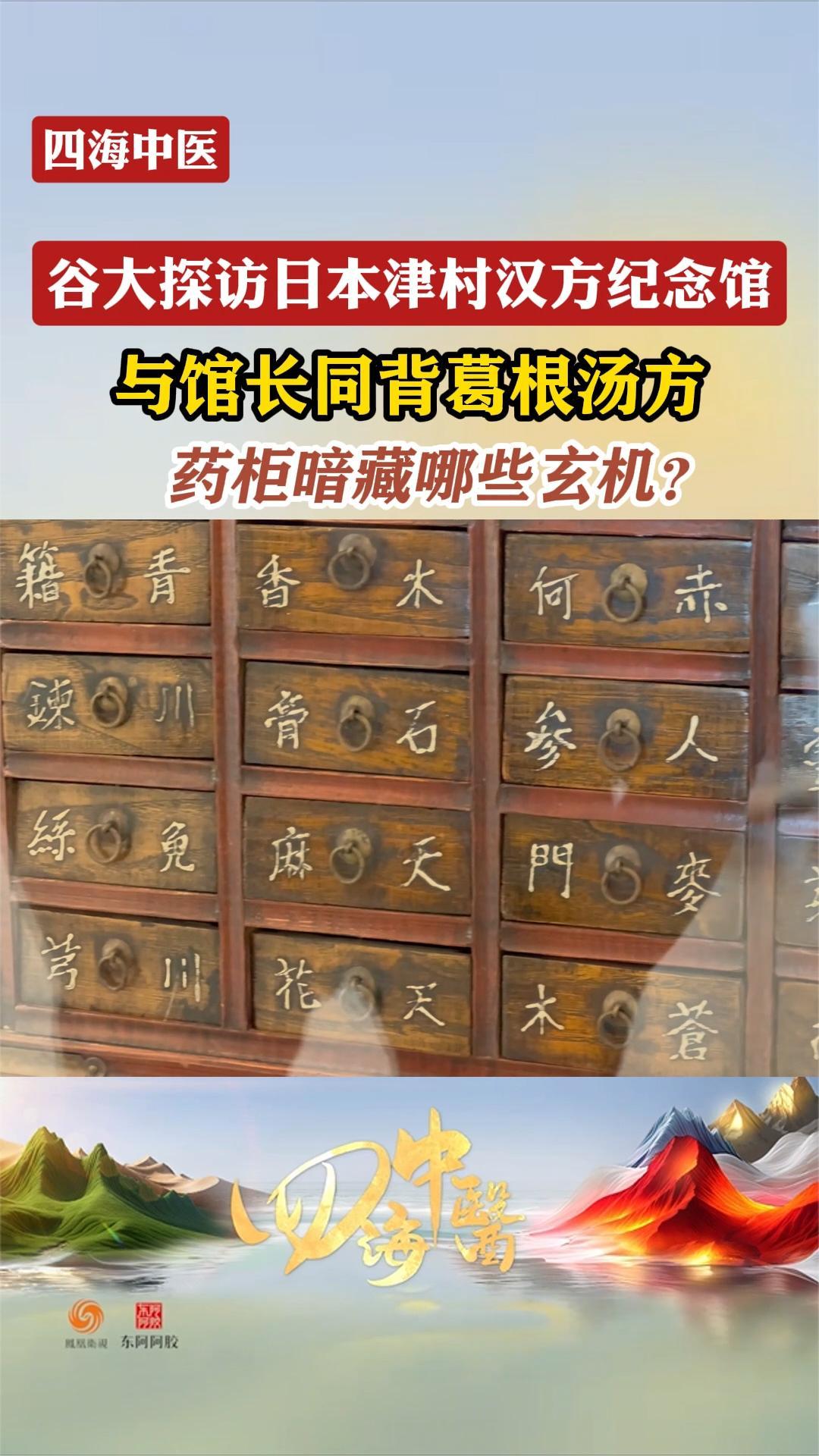 谷大白话与日本津村汉方纪念馆长同背葛根汤方,药柜暗藏哪些玄机