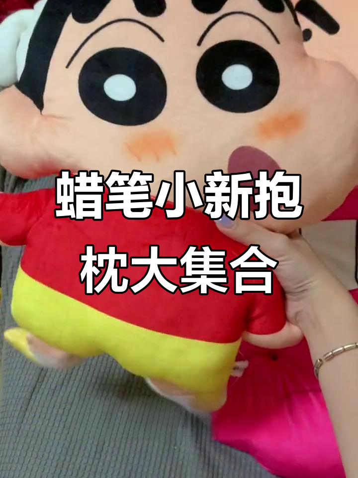 一箱蜡笔小新抱枕开箱,超萌肥猪猪和小溪小新都在!