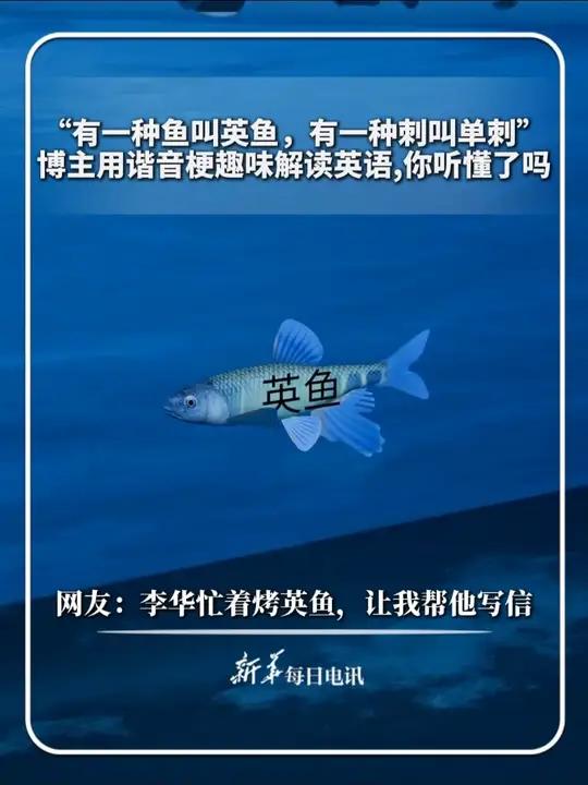 “有一种鱼叫英鱼，有一种刺叫单刺”。博主用谐音梗趣味解读英语，你听懂了吗？网友：李华忙着烤