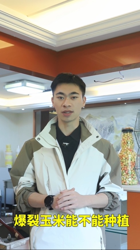 爆裂玉米能不能种植?