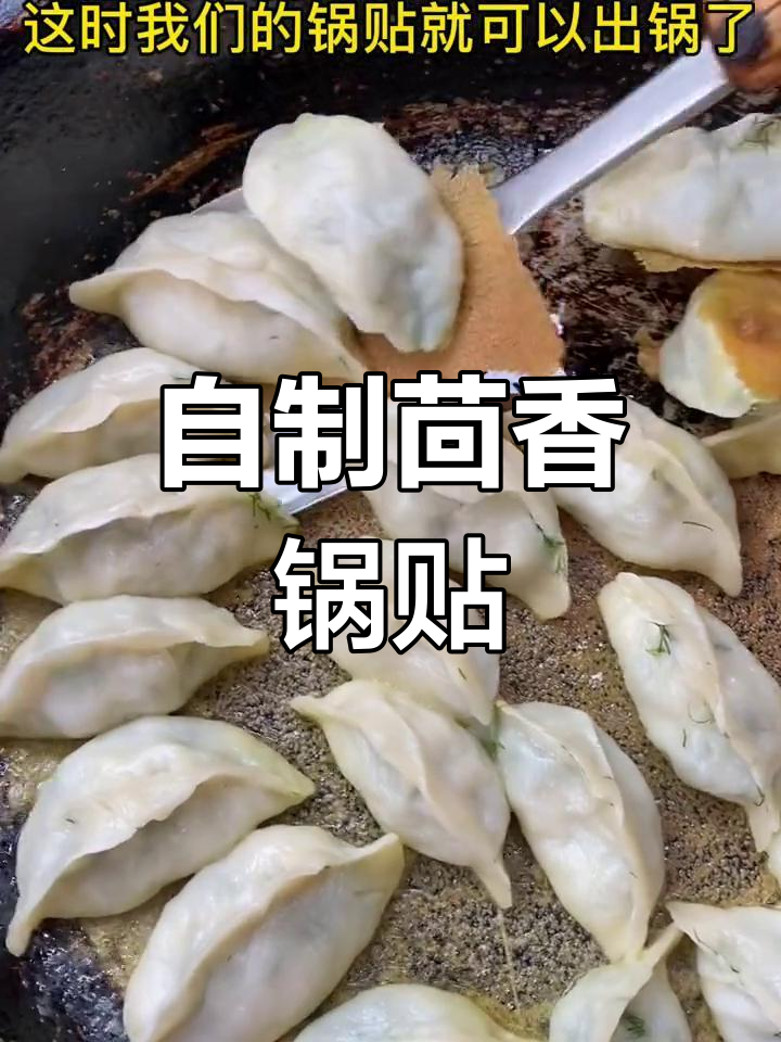 茴香锅贴的做法,轻松学会