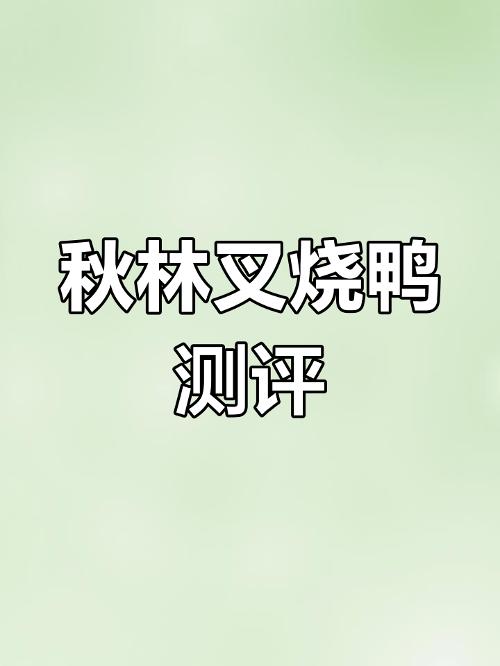 秋林里道斯叉烧鸭评测:真空包装下的味道体验