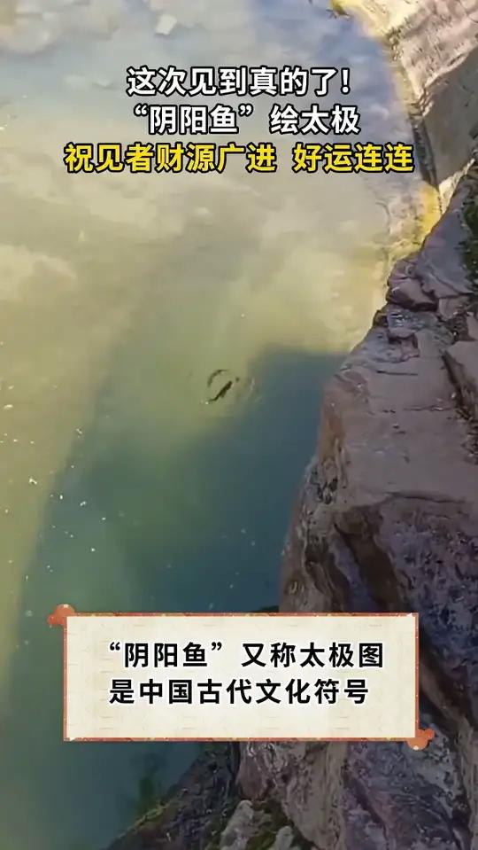 “阴阳鱼”绘太极，祝见者财源广进，好运连连。趣中国（来源 新华鉴文）