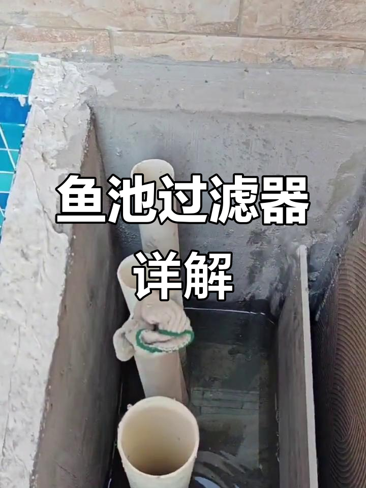 鱼池过滤系统全解析：从沉淀到清水，每个仓位都不可忽视