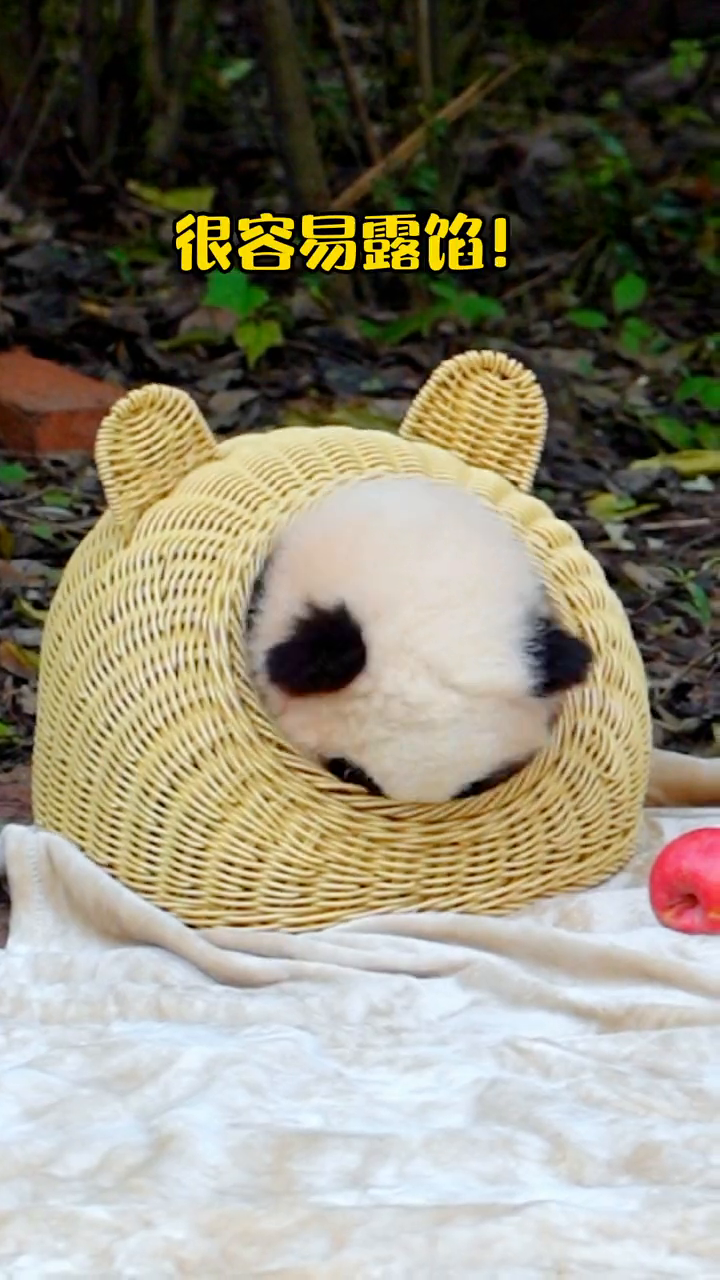 四川特色“芝麻汤圆”,一口你能吃几个?