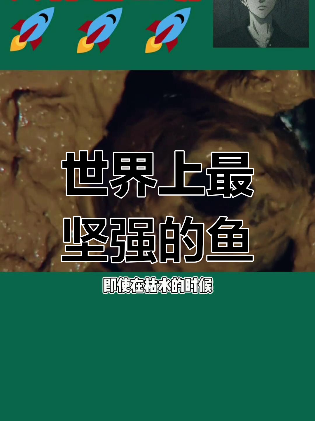 非洲肺鱼:能在陆地生存6个月的神奇鱼类