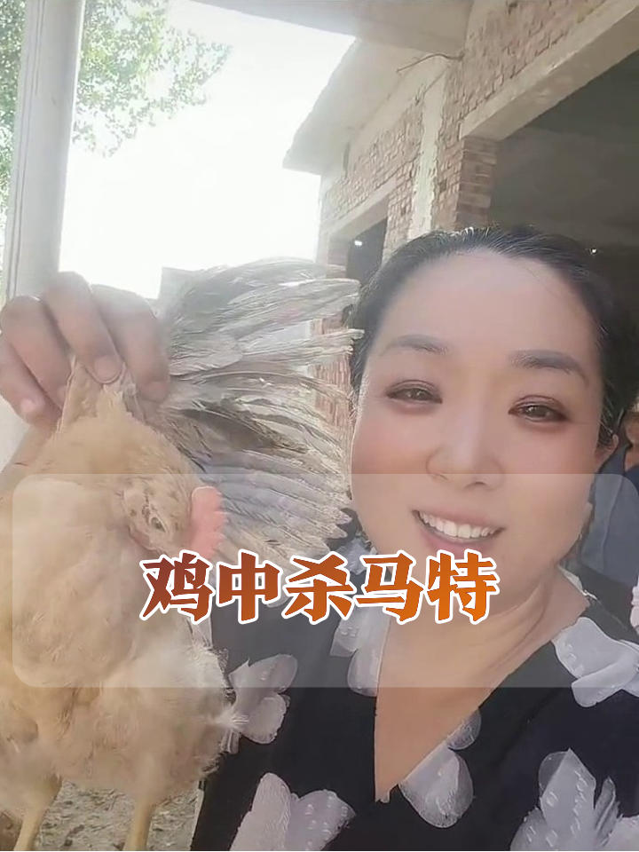 鸡中杀马特!尾巴炸成鸡毛掸子,养鸡场堪比发型秀现场