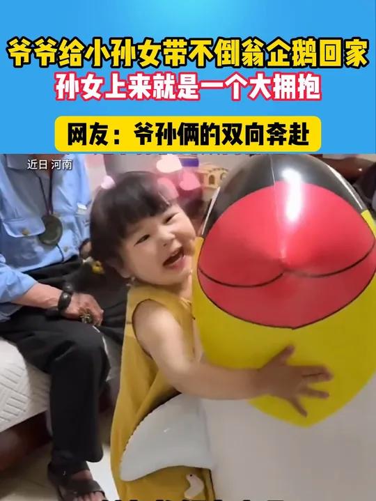 爷孙俩的双向奔赴,这企鹅不倒翁也太好玩了