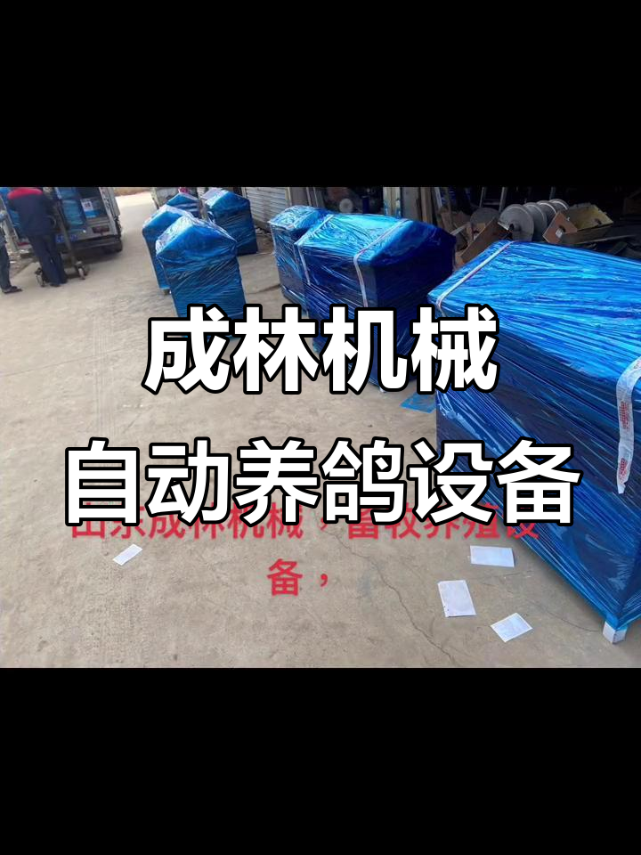 山东成林机械:自动化养殖设备,助力肉鸽高效饲养