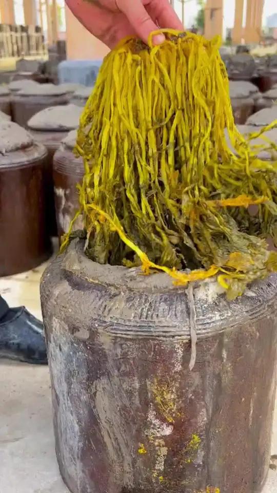 黄雪菜雪里红腌制新鲜无老根农家雪里蕻下饭菜咸菜爽口腌菜包子馅