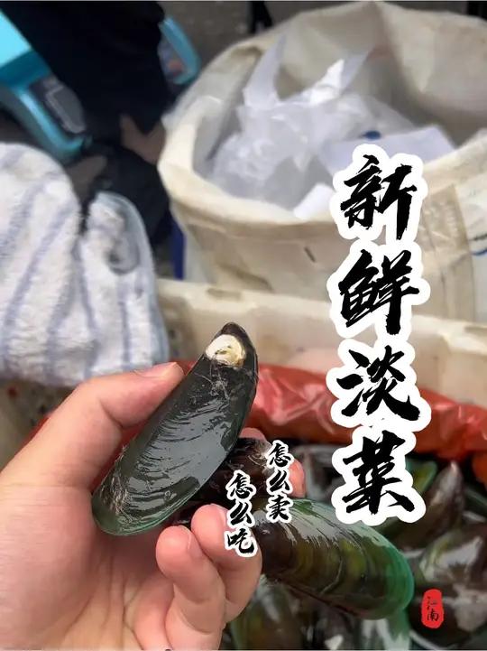 好好吃饭大赛,同学们,淡菜怎么吃好吃呢?我买的贵不贵呢