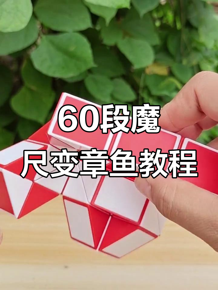 60段魔尺折章鱼,轻松学会这些步骤