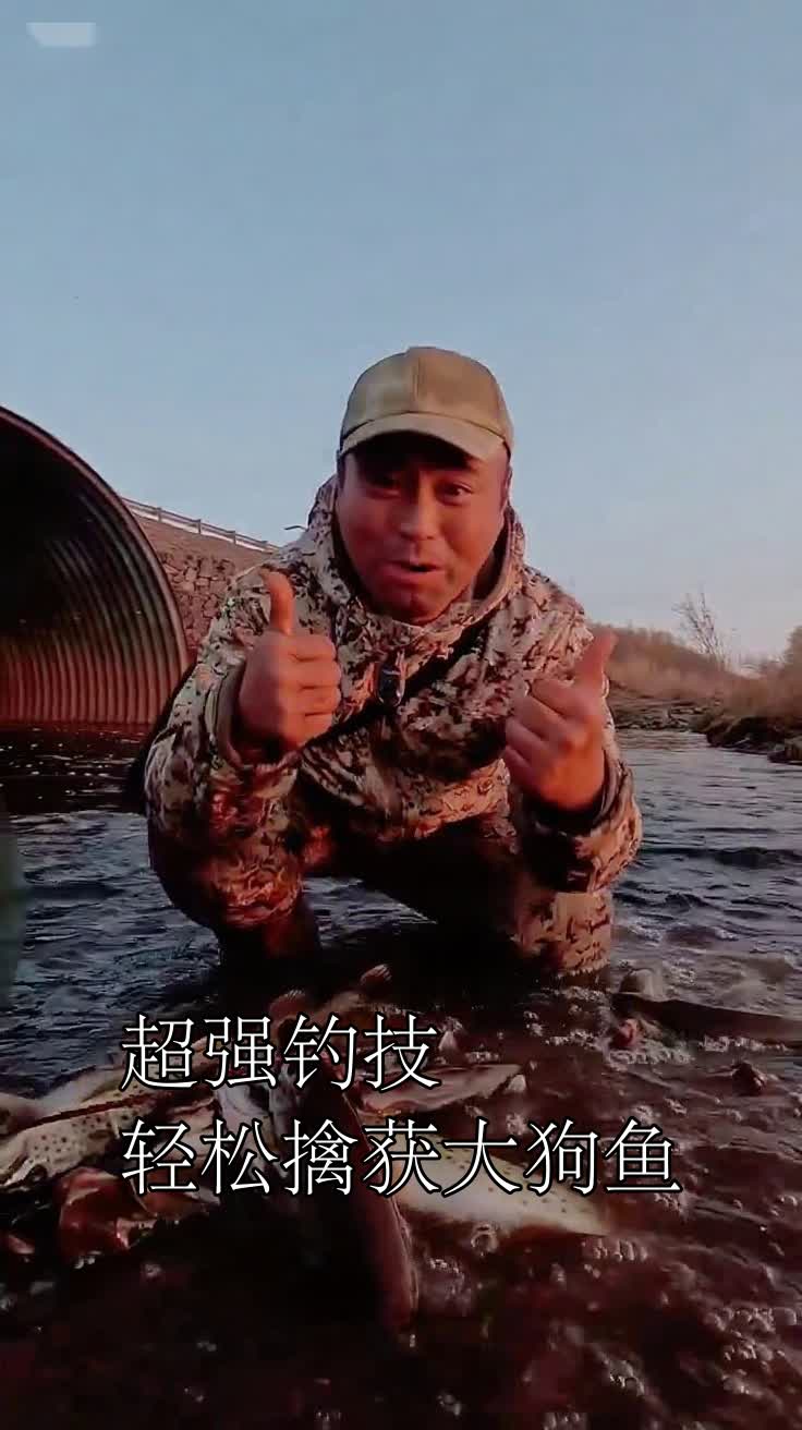 超强钓技轻松擒获大狗鱼