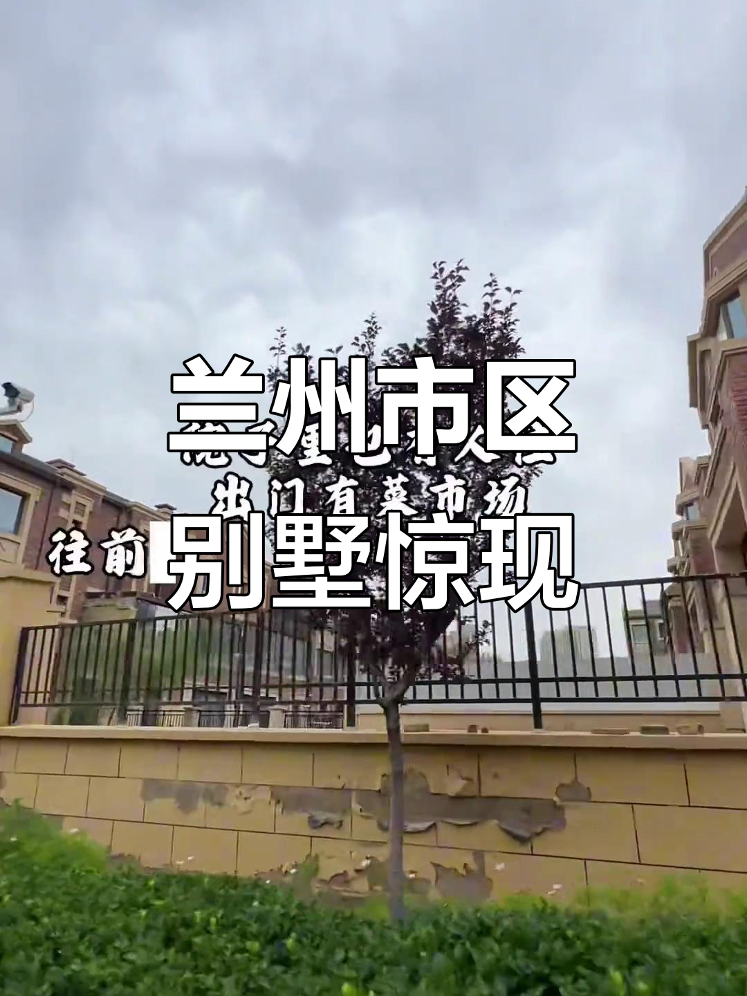 兰州保利别墅内藏惊喜，银龙鱼与茶具相伴