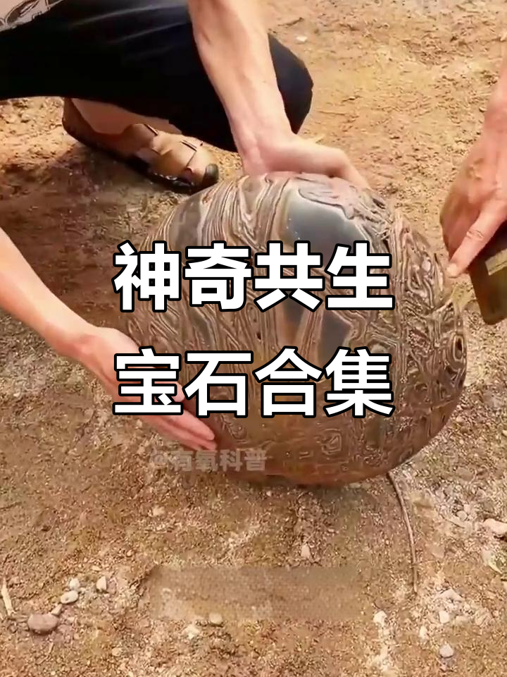 各种神奇石头大揭秘:从水原石到金蝉鸡血石的奇妙之旅