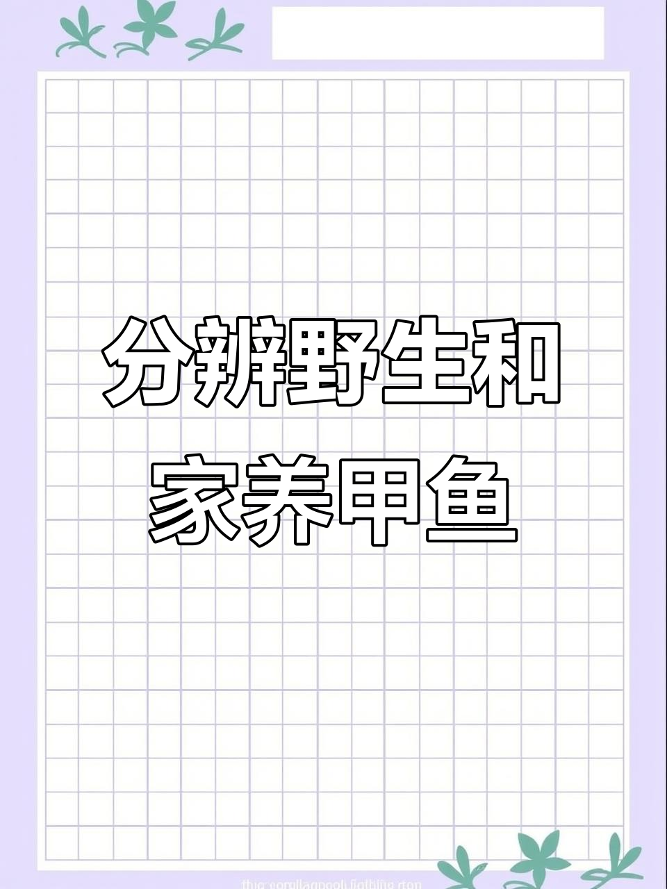 如何辨别野生甲鱼与家养甲鱼的差异