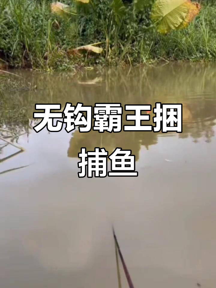 新型霸王捆捕鱼神器,无钩一网打尽十几条