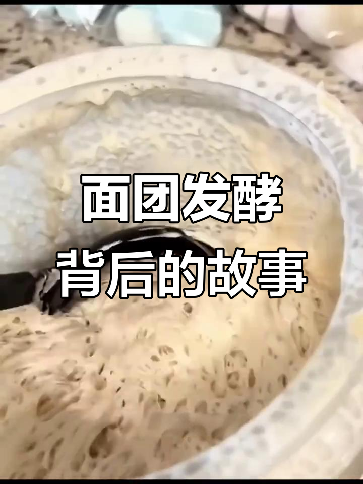 面包发酵的秘密:微生物如何“放屁”让面团生气