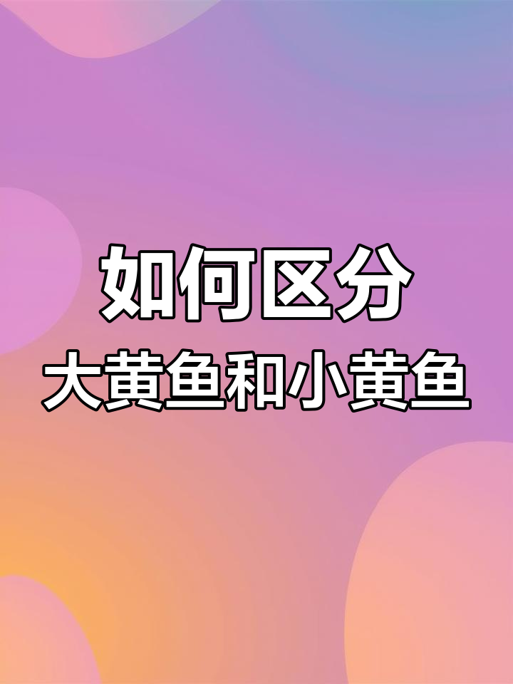 大黄鱼与小黄鱼的三大区别