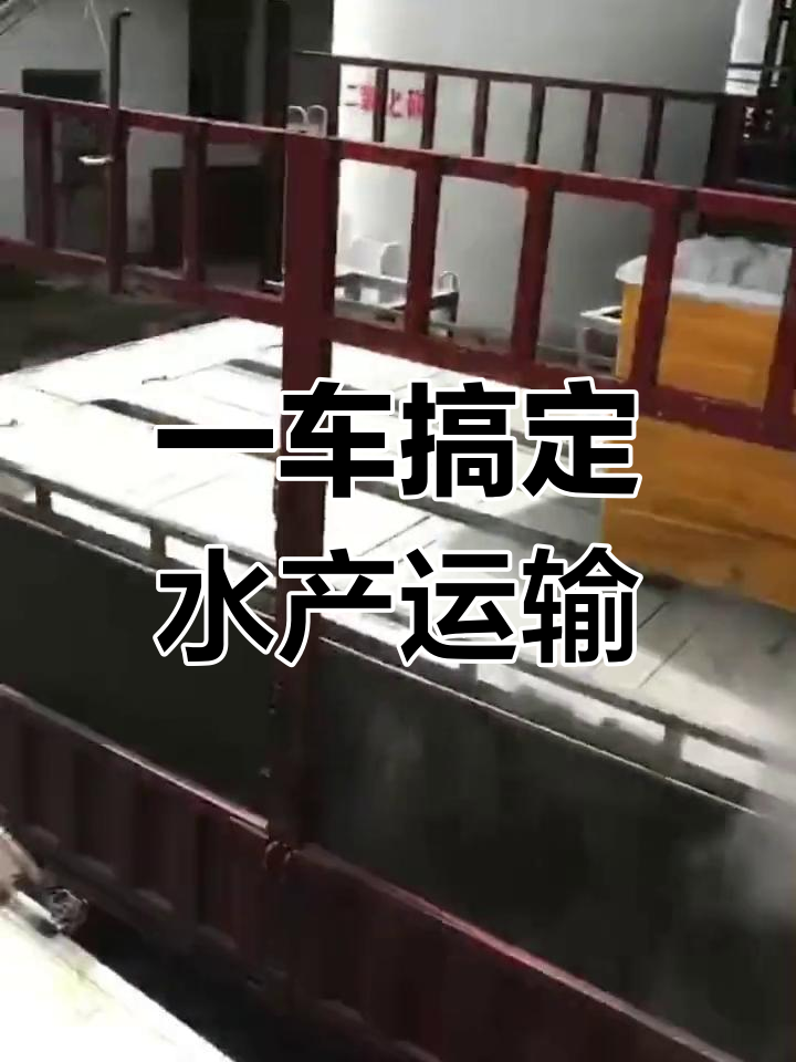 蓝牌货车鱼箱大揭秘,轻松搬运十方水产品