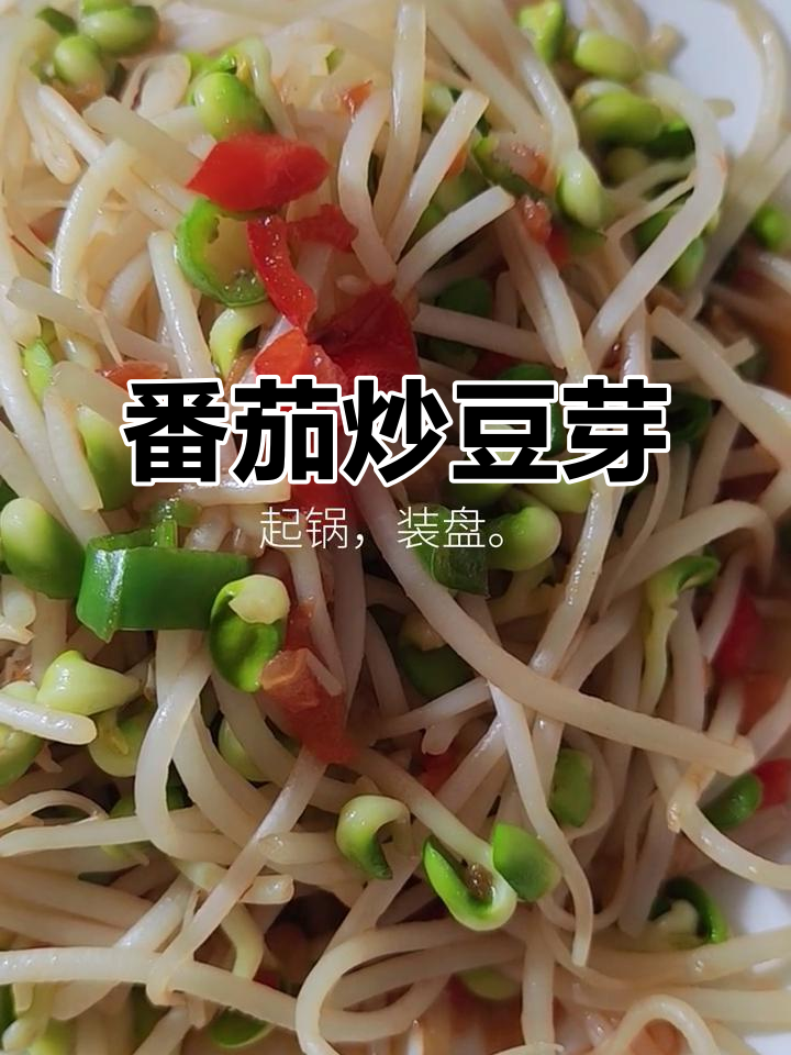 西红柿炒豆芽，简单又美味，家常素菜轻松做